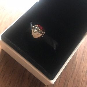 Santa pandora charm